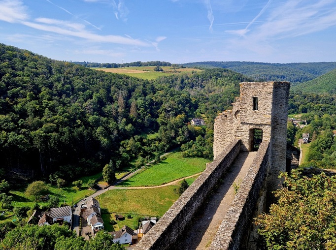 wald, aufforstung, hohenstein, wiesbaden, bad schwalbach, nachhaltigkeit